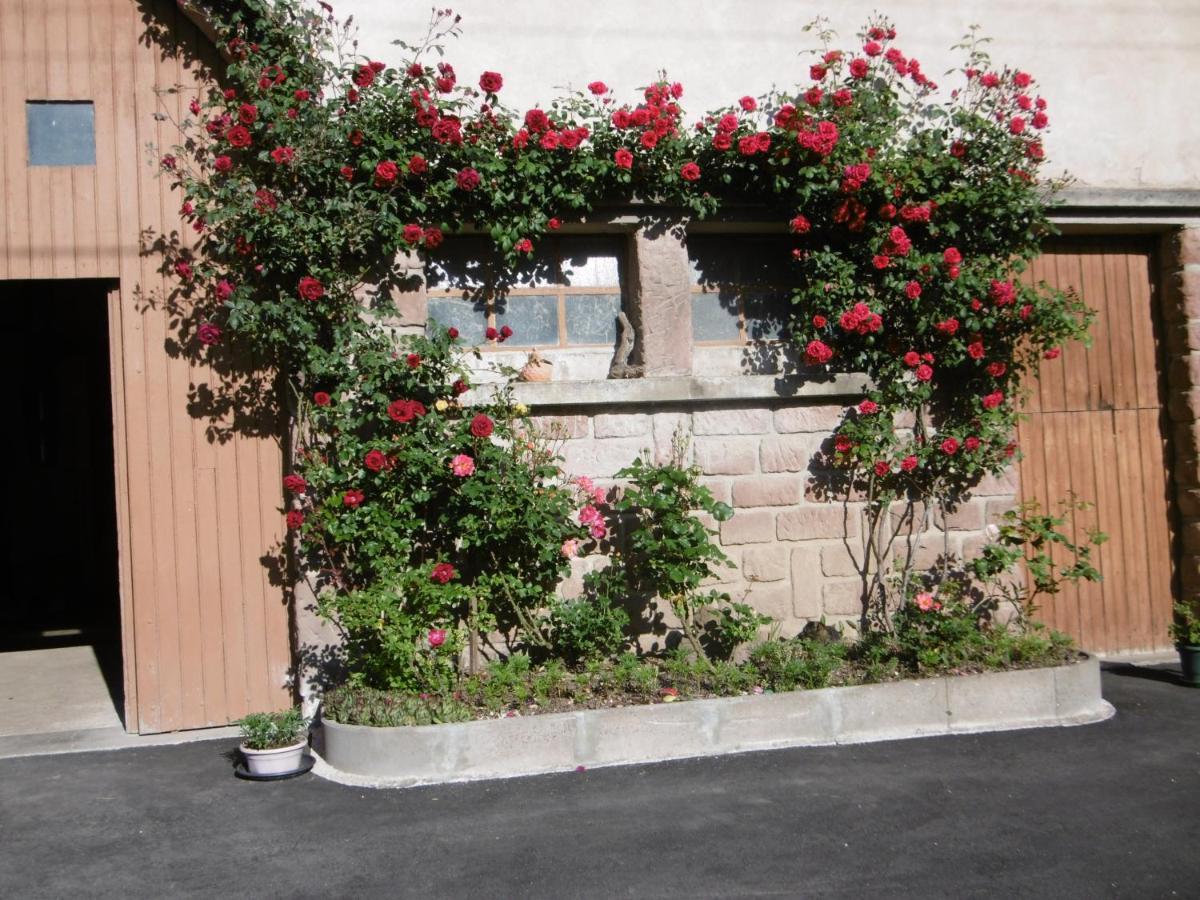 Chez Catherine Et Roger Brouvelieures Exterior foto